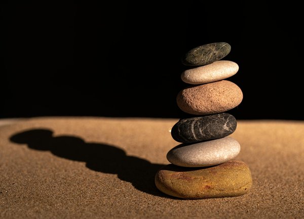 Accompagnement Exclusif : Programme de Minceur Végétarienne Révolutionnaire